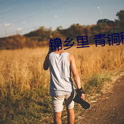 锦(錦)乡里 青铜穗