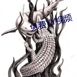 免费YY视频 （偏手儿）