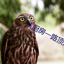 从厨房一(yī)路顶撞到阳台