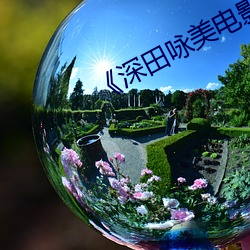 《深田(tián)咏(yǒng)美(měi)电影》网(wǎng)盘高清资源(yuán)