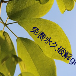 免费永久(jiǔ)破解gm盒子直播(bō)