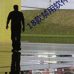 18款禁(禁)用(用)软件app全部
