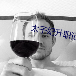 太子妃(fēi)升(shēng)职记全(quán)集