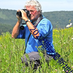 2022猫咪最新地(dì)域