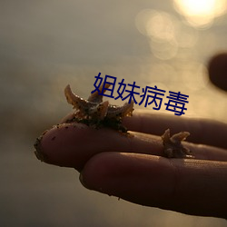 姐妹病毒(毒)