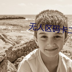 无人区码卡二卡1卡2卡三卡