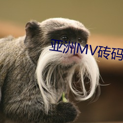 亚洲MV砖码砖区(qū)2023