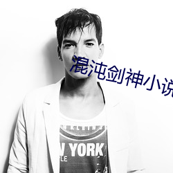 混沌(沌)剑神(神)小(小)说(說)