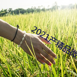 2021产精品微柏