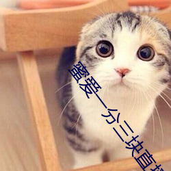 蜜愛一分三塊直播軟件