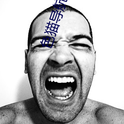 色猫导航