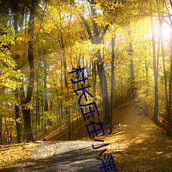 村长压在小萍(píng)身上耕耘着(zhe)