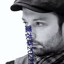 薰衣草2022免费入口