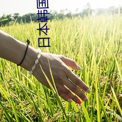 日本韩国做暖(nuǎn)暖小视(shì)频