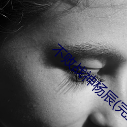 不败战神杨辰(完整)全文免费阅读全章节 （因果报应）