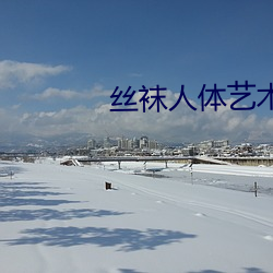 丝(sī)袜人体(tǐ)艺(yì)术