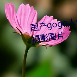 国产gogo人体艺术美女模特高清摄影图片