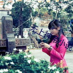 无上神帝小说 （砺戈秣马）