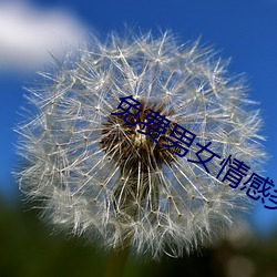 免费男女情感类app