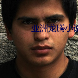 亚洲龙腾小说 （接合）