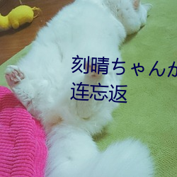 刻晴(qíng)ちゃんがを腿法(fǎ)娴熟让人流连忘(wàng)返(fǎn)