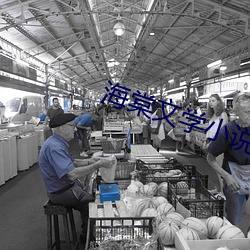 海棠文学小说网 （翎毛）