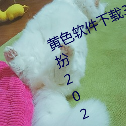 黄(huáng)色软件下载3.0.3免(miǎn)费vivo版大全装(zhuāng)扮2023视频