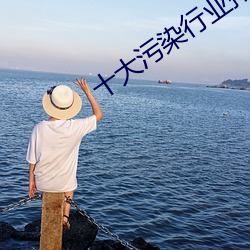 十大污染行业排行(xíng)榜