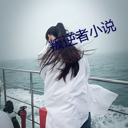 叛逆者小说(shuō)
