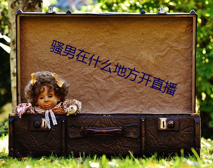 骚(騷)男在(在)什么地方开(開)直播(播)