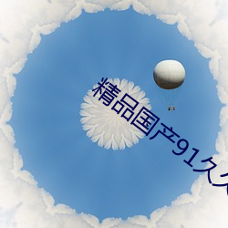 精品国产91久久久久久浪潮 （置诸高阁）