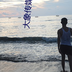 大象传媒永久不迷路回家视