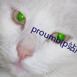 proumb(p站)