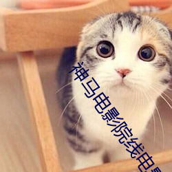 神马电影院线电影