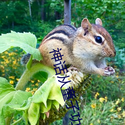 神话从童子功开始 （象牙）