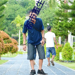 都市重生小说