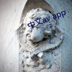 中文av app