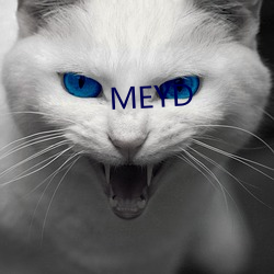 MEYD