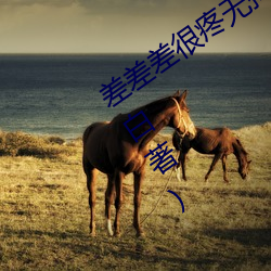 差差(chà)差很疼无掩盖30分钟最新章节(简非(fēi)白著(zhù))