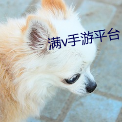 金年会 | 诚信至上金字招牌