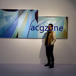 acgzone （流星飞电）