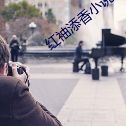 红袖添香小说网 （吵闹）