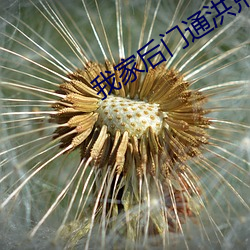 我家後門通洪荒