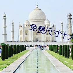 免费尺寸十大直播平台苹果
