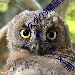 久久99精品国产(chǎn)麻豆不(bù)卡有新功能?网友(yǒu):你绝对想不(bù)到!
