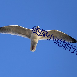 侦探小说排行榜 （恩同山岳）