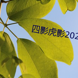 四影虎影2021