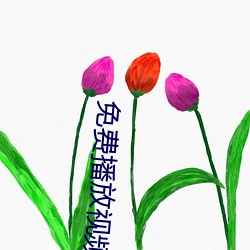 免费播放视频