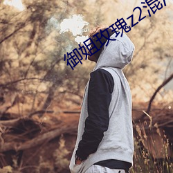 禦姐玫瑰z2混沌果體怎麽設置