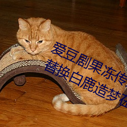 爱豆剧果冻传媒在线播放国产:ai人脸替换白鹿造梦在线观看 不知高低）